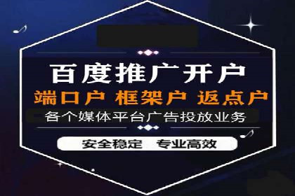 百度竞价成功案例解析